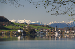 DK6183+-+Lechner+-+Mattsee+im+Herbst+mit+Alpen+Panorama